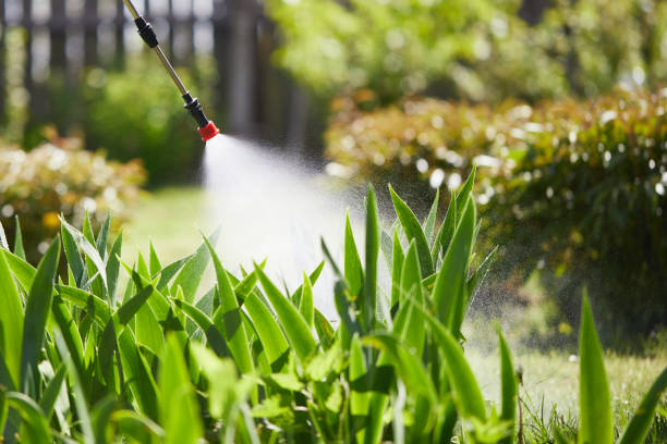 24/7 Emergency Fumigation Services experts in Collinsville, IL
