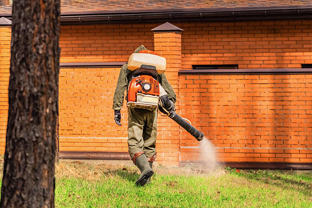 Trusted Cockroach Control service in Collinsville, IL - Nex Pest Control